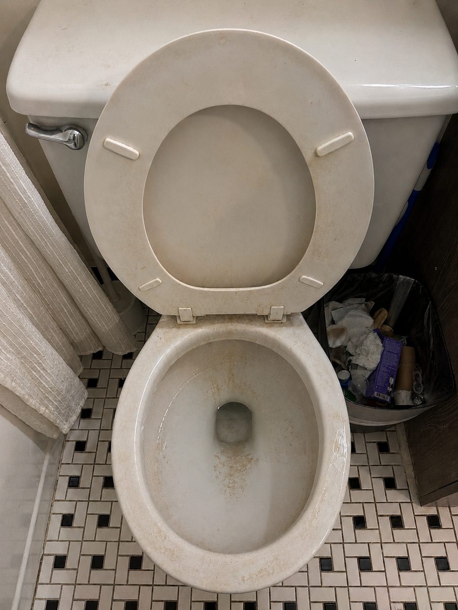 Toilet before Ivybrook cleaning, with visible staining